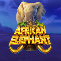 African Elephant